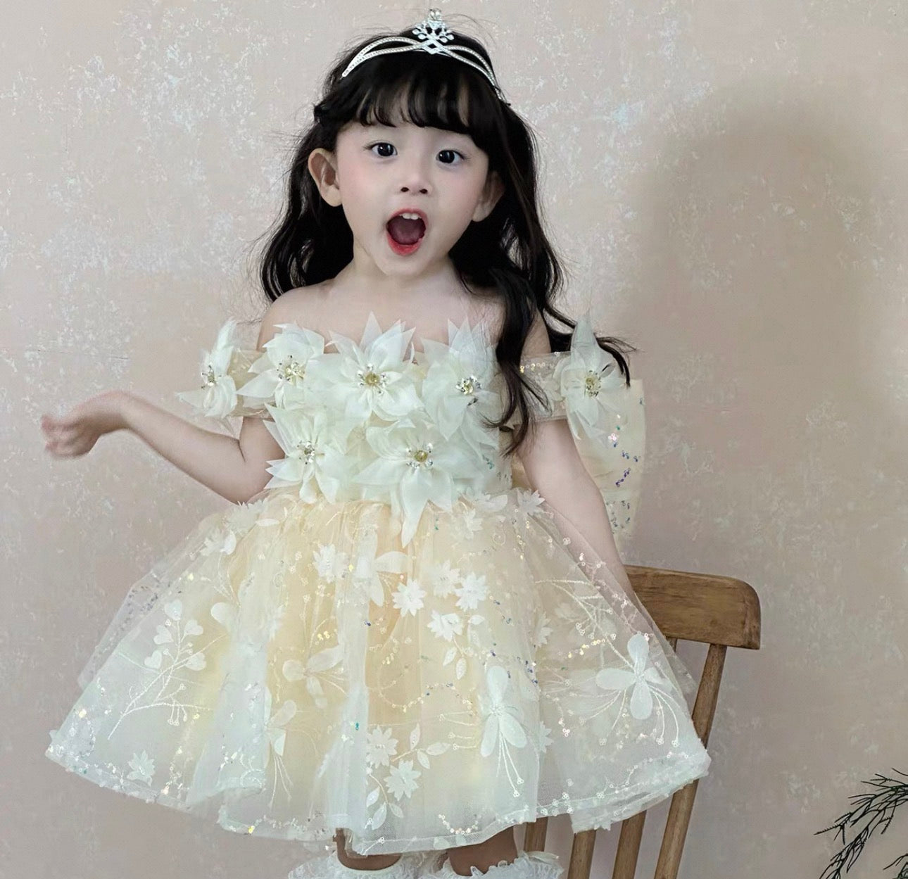 BRIELLA DRESS (With Veil)