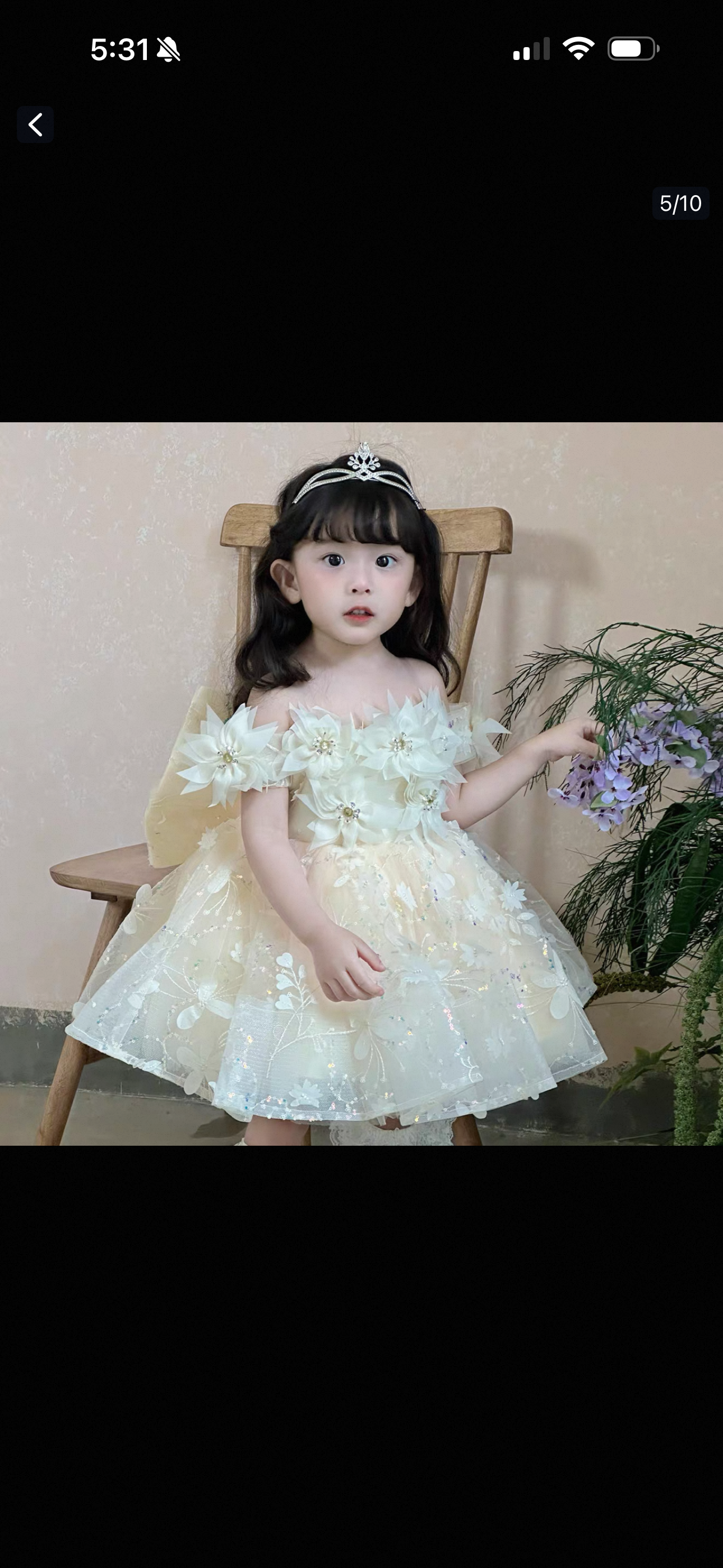 BRIELLA DRESS (With Veil)