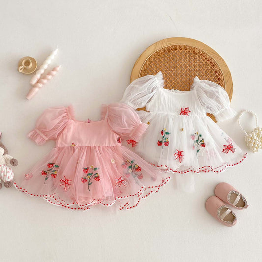 Baby Girl Embroidered Bow Mesh Princess Dress
